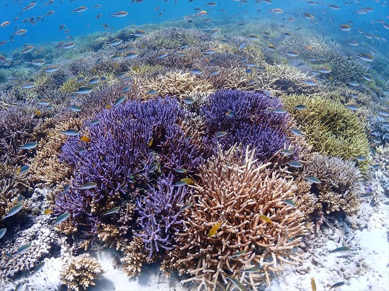 料金変更のお知らせ